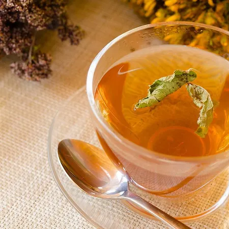 Eco Monastic-spa монастік-спа монастик-спа 3*