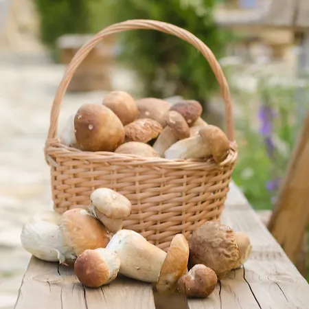 Отель Eco Monastic-spa монастік-спа монастик-спа Оров