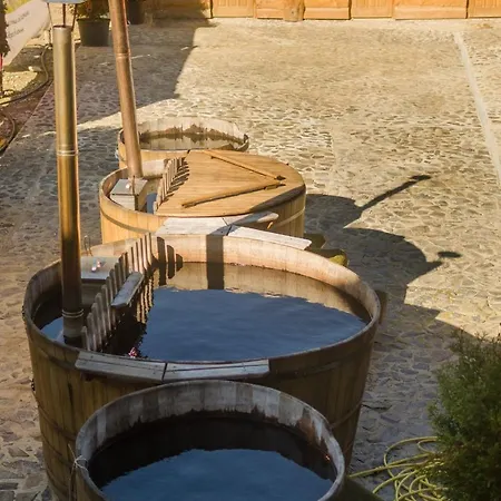 Monastic Spa карпати 3*