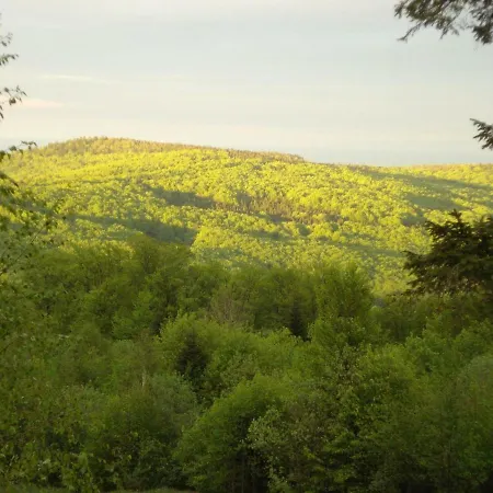 Eco Monastic-spa монастік-спа монастик-спа Отель Оров