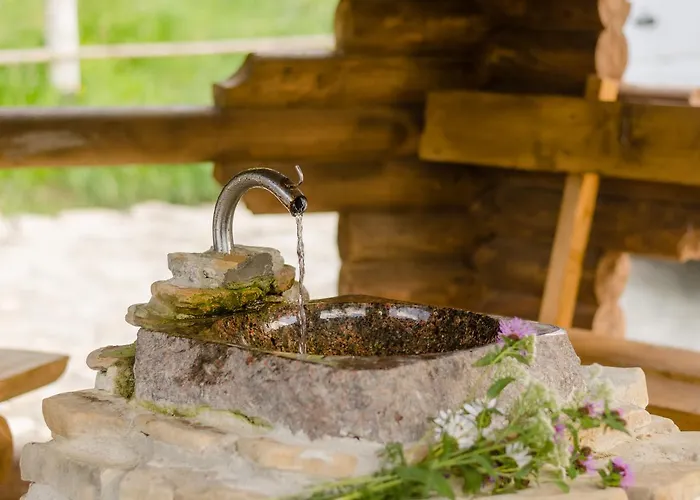 Monastic Spa карпати Hotel Oriv